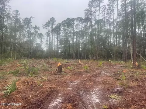 406 Whispering Pines Rd, Georgetown, FL 32139