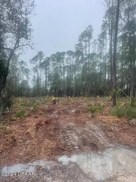 406 Whispering Pines Rd, Georgetown, FL 32139 photo 2