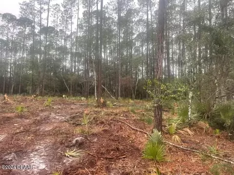406 Whispering Pines Rd, Georgetown, FL 32139 photo 3