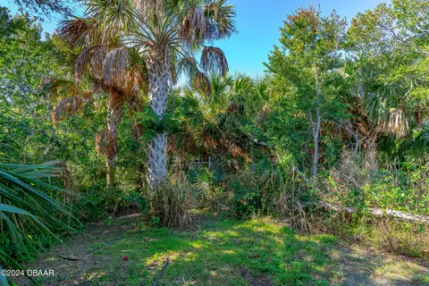 81 Seton Trl, Ormond Beach, FL 32176 photo 41