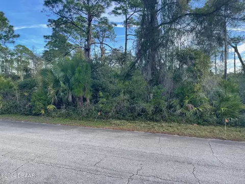 0 Tatum Blvd, New Smyrna Beach, FL 32168