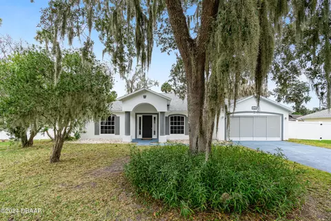 2619 Needle Palm Dr, Edgewater, FL 32141 photo 2
