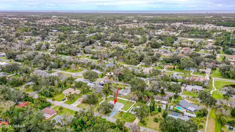 2619 Needle Palm Dr, Edgewater, FL 32141 photo 39
