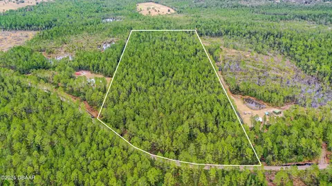 300 Volusian Forest Trl, Pierson, FL 32180