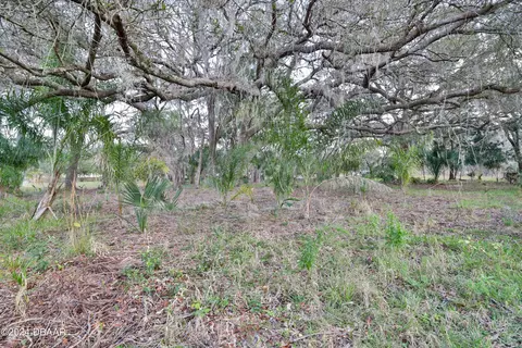 3422 Relay Rd, Ormond Beach, FL 32174 photo 14