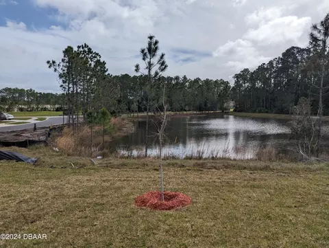 3 Caddy Ct, Bunnell, FL 32110 photo 4