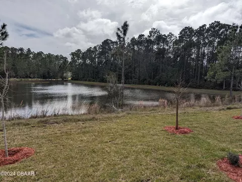 3 Caddy Ct, Bunnell, FL 32110 photo 5