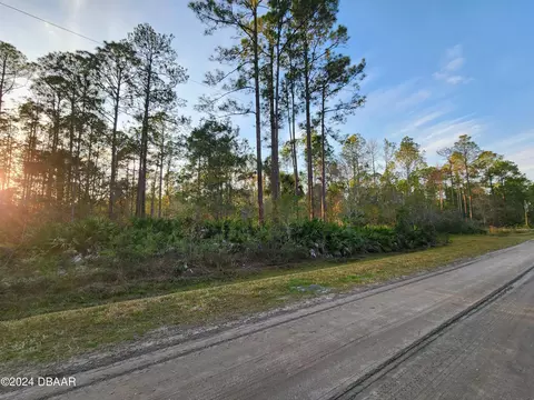 1244 Peach St, Bunnell, FL 32110 photo 5