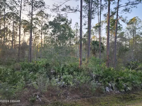 1244 Peach St, Bunnell, FL 32110 photo 8