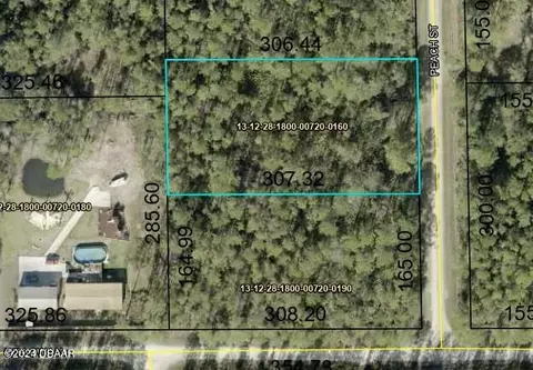1244 Peach St, Bunnell, FL 32110 photo 3