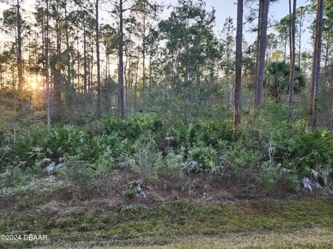 1244 Peach St, Bunnell, FL 32110 photo 11