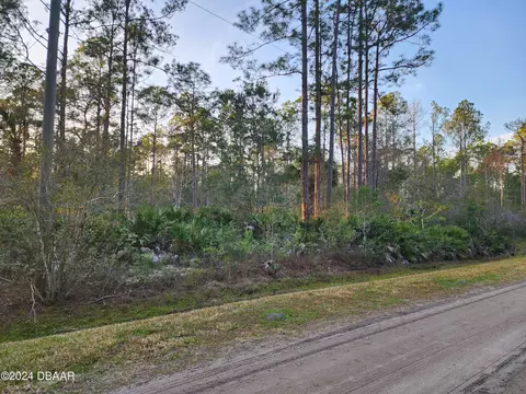 1244 Peach St, Bunnell, FL 32110 photo 6