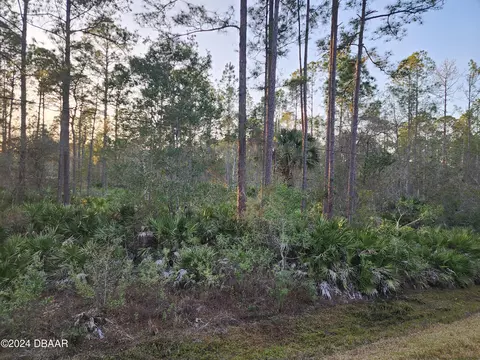 1244 Peach St, Bunnell, FL 32110 photo 9