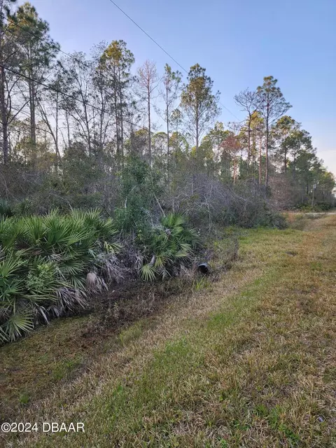 1244 Peach St, Bunnell, FL 32110 photo 7