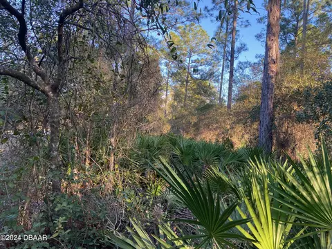 105109 116 Hazel Ave, Georgetown, FL 32139 photo 1