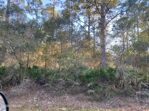 413 Birch Blvd, Georgetown, FL 32139