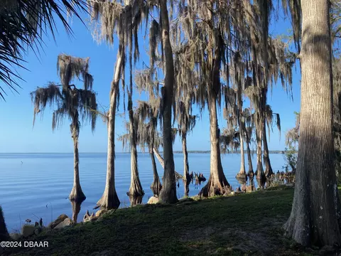413 Birch Blvd, Georgetown, FL 32139 photo 8