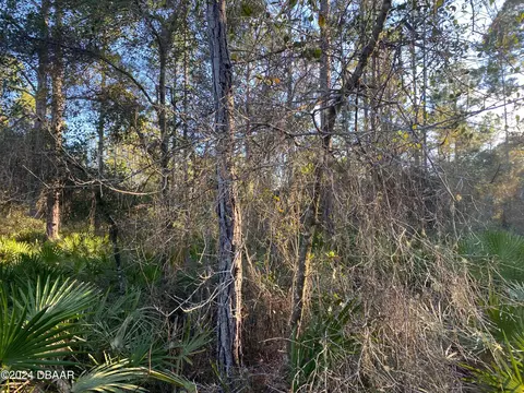 227 Georgetown Denver Rd, Georgetown, FL 32139 photo 1