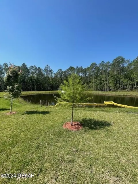 39 Bogey Pl, Bunnell, FL 32110 photo 21