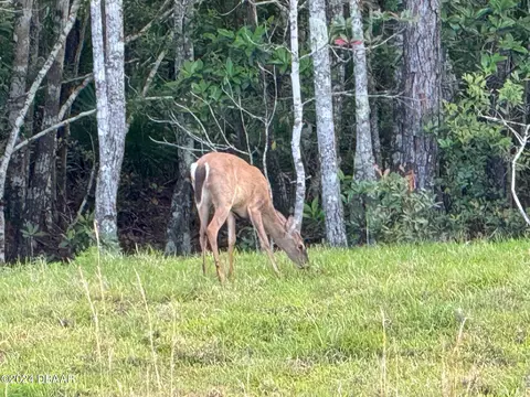 39 Bogey Pl, Bunnell, FL 32110 photo 19