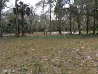 55239 Third St, Astor, FL 32102 photo 3