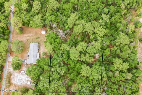 0 Spruce Paper Ln, Orange City, FL 32763