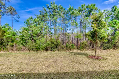 53 Wrendale Lp, Ormond Beach, FL 32174 photo 50