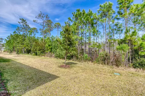 53 Wrendale Lp, Ormond Beach, FL 32174 photo 49
