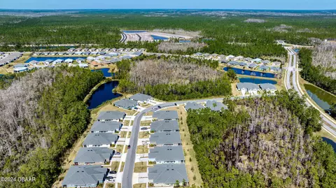 53 Wrendale Lp, Ormond Beach, FL 32174 photo 62