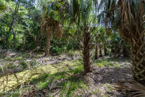 Other - 4117 Salina Ln, Ormond Beach, FL 32174 photo 13 of 16