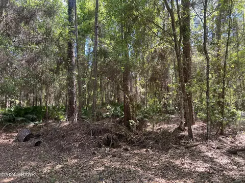 147 Heathton St, Georgetown, FL 32139 photo 3