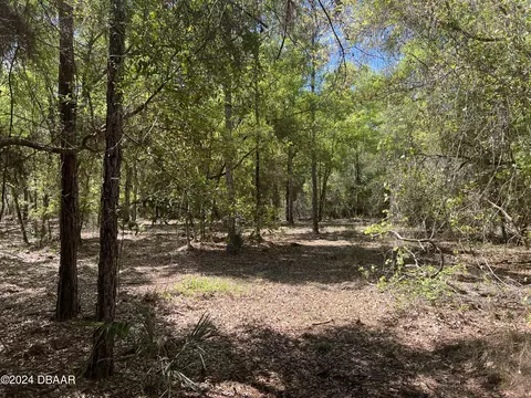 147 Heathton St, Georgetown, FL 32139 photo 2