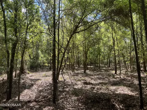147 Heathton St, Georgetown, FL 32139 photo 4