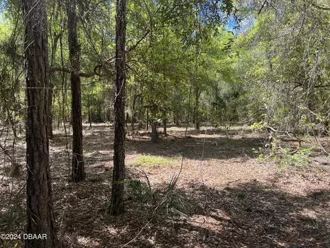147 Heathton St, Georgetown, FL 32139 photo 6
