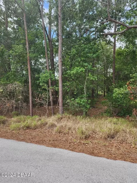 781 Memorial Dr, Sebring, FL 33870 photo 3