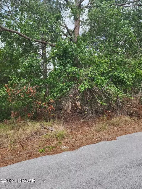 781 Memorial Dr, Sebring, FL 33870 photo 2