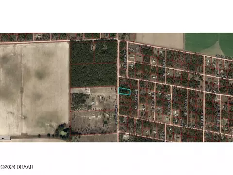 691 NE 130th Ave, Williston, FL 32696 photo 31
