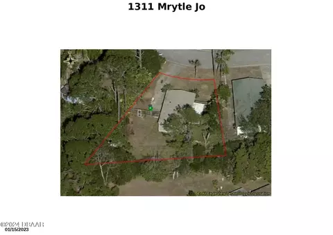 1311 Myrtle Jo Dr, Ormond Beach, FL 32174 photo 23
