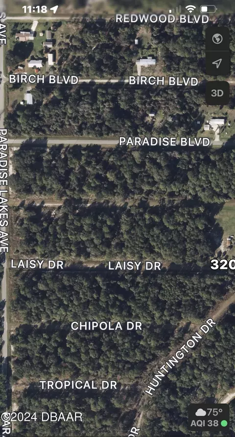 320 Laisy Dr, Georgetown, FL 32139