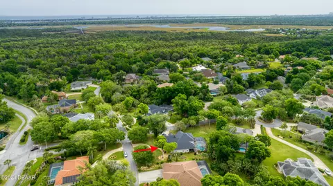 View/Area - 115 Squirrel Ln, Ormond Beach, FL 32174 photo 8 of 15