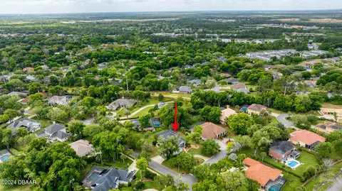View/Area - 115 Squirrel Ln, Ormond Beach, FL 32174 photo 3 of 15