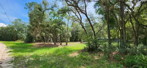 151 Violet Cir, Interlachen, FL 32148 photo 5