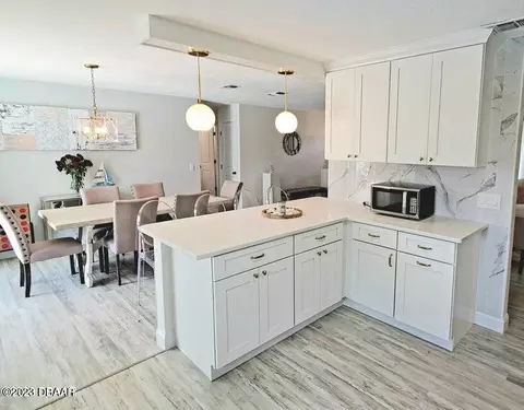 35 Sand Dollar Dr, Ormond Beach, FL 32176 photo 26