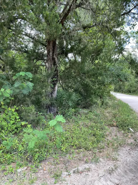 540 Ranchette Road Rd, New Smyrna Beach, FL 32168