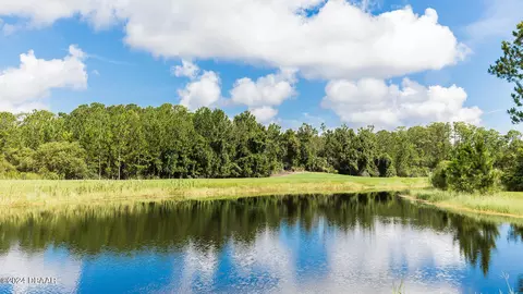 View/Area - 78 Bogey Pl, Bunnell, FL 32110 photo 12 of 15