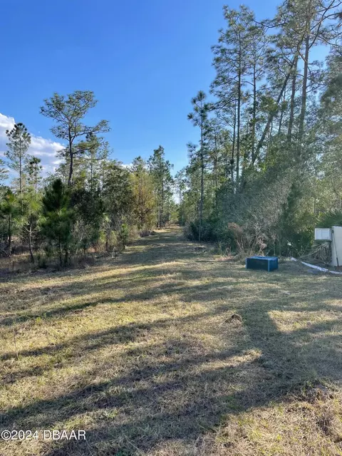 4685 Magnolia Rd, New Smyrna Beach, FL 32168