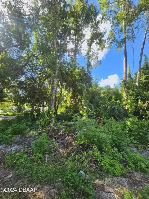 0 Palm Rd, Ormond Beach, FL 32174 photo 3