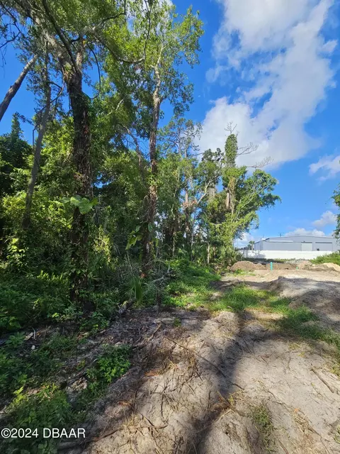 0 Palm Rd, Ormond Beach, FL 32174 photo 4