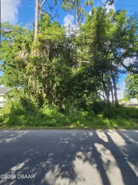 0 Palm Rd, Ormond Beach, FL 32174 photo 2