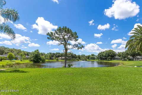 View/Area - 30 Creek Bluff Way, Ormond Beach, FL 32174 photo 2 of 9